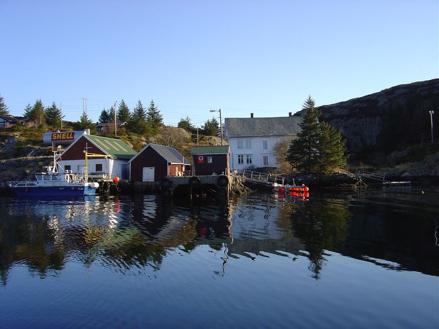 Buskøy 2004.Bildet viser hagen med flere store grantrær. De gamle stakittgjerdene er borte og og hagen er gjenngrodd av busker og kratt.