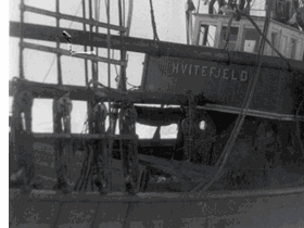 DS Hvitefjeld