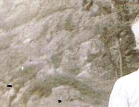 Jan Andersen med bestemoren Orlaug Hess.