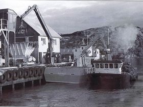 Lossing av tare ved anlegget på Buskøy på 1970 tallet.