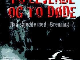 Kan det være hendelsen som er beskrevet her som er forklaringen?