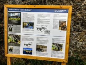Øyhopping - Guidet tur til avrettingsstaden/informasjonsskilt