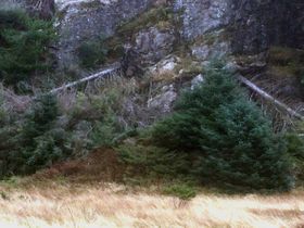 Vindfall
