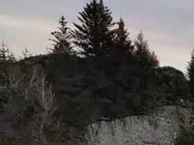 Felles flytebryggeanlegg - landgang og utriggere